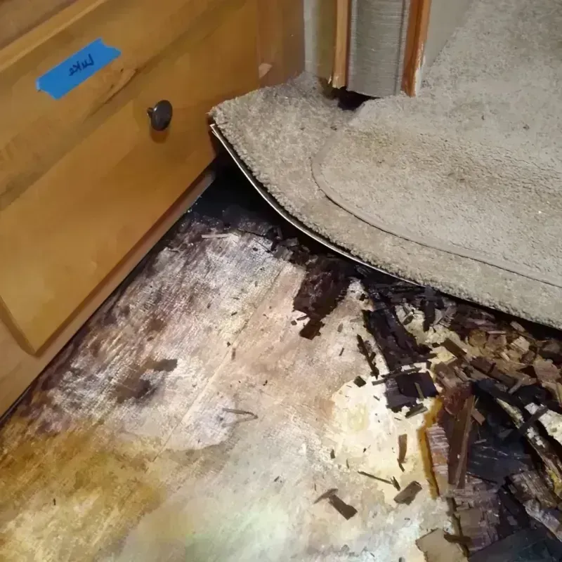 Best Wood Floor Water Damage Service in Monticello, MS